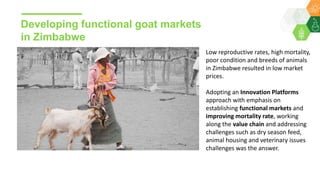 Investing in rural women:  An investment in a whole community