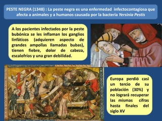 PESTE NEGRA (1348) : La peste negra es una enfermedad infectocontagiosa que
afecta a animales y a humanos causada por la bacteria Yersinia Pestis
A los pacientes infectados por la peste
bubónica se les inflaman los ganglios
linfáticos (adquieren aspecto de
grandes ampollas llamadas bubas),
tienen fiebre, dolor de cabeza,
escalofríos y una gran debilidad.
Europa perdió casi
un tercio de su
población (30%) y
no logrará recuperar
las mismas cifras
hasta finales del
siglo XV
 