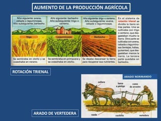 AUMENTO DE LA PRODUCCIÓN AGRÍCOLA
ROTACIÓN TRIENAL
ARADO DE VERTEDERA
 