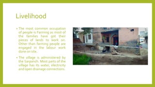 Livelihood
• The most common occupation
of people is Farming as most of
the families have got their
pieces of lands to work on.
Other than farming people are
engaged in the labour work
done on site.
• The village is administered by
the Sarpanch. Most parts of the
village has its water, electricity
and open drainage connections.
 