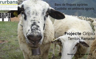 Banc de finques agràries
Custòdia en ambients agraris




      Projecte Grípia
        Territori Ramader


         Barcelona, 17 de gener del 2012
 