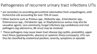 Comprehensive Overview of Recurrent Urinary Tract Infections in ...