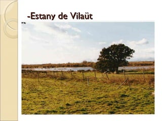 - Estany de Vilaüt  