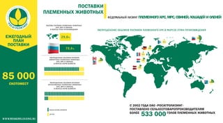 Презентация Росагролизинг