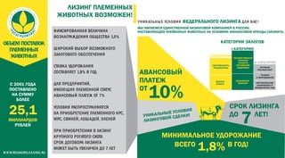 Презентация Росагролизинг