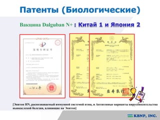 Патенты (Биологические) 
[Эпитоп HN, распознаваемый иммунной системой птиц, и Антигенные варианты вирусоносительства 
ньюкаслской болезни, влияющие на Эпитоп] 
 