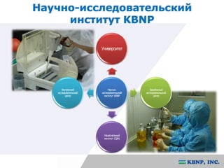 Научно-исследовательский 
институт KBNP 
Университет 
Научно- 
исследовательский 
институт KBNP 
Зарубежный 
исследовательский 
центр 
Национальный 
институт (QIA) 
Внутренний 
исследовательский 
центр 
 