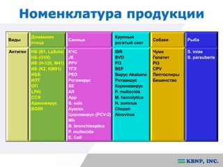 Номенклатура продукции 
Виды 
Домашняя 
птица 
Свиньи 
Крупный 
рогатый скот 
Собаки Рыба 
Антиген НБ (B1, LaSota) 
НБ (GVII) 
ИБ (H-120, M41) 
ИБ (K2, KM91) 
ИББ 
ИЛТ 
ОП 
LPAI 
ССЯ 
Аденовирус 
SG9R 
КЧС 
JE 
PPV 
ТГЭ 
PED 
Ротавирус 
SE 
AR 
App 
S. suis 
Ауески 
Цирковирус (PCV-2) 
Mh 
B. bronchiseptica 
P. multocida 
E. Coli 
IBR 
BVD 
PI3 
BEF 
Вирус Akabane 
Ротавирус 
Коронавирус 
P. multocida 
M. hemolytica 
H. somnus 
Chuzan 
Ainovirus 
Чума 
Гепатит 
PI3 
CPV 
Лептоспиры 
Бешенство 
S. iniae 
S. parauberis 
 