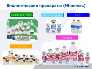 Биологические препараты (Himmvac) 
Домашняя птица 
Свиньи 
Круп. рог. скот 
Собаки 
Рыба 
 