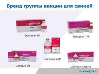 Бренд группы вакцин для свиней 
33 
Donsaban-PT Donsaban-TPR 
Donoban-10 
Donoban-GMS 
Donoban-CircoNo 
 
