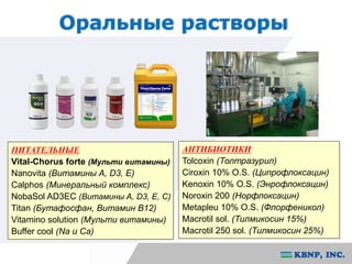 Оральные растворы 
АНТИБИОТИКИ 
Tolcoxin (Толтразурил) 
Ciroxin 10% O.S. (Ципрофлоксацин) 
Kenoxin 10% O.S. (Энрофлоксацин) 
Noroxin 200 (Норфлоксацин) 
Metapleu 10% O.S. (Флорфеникол) 
Macrotil sol. (Тилмикосин 15%) 
Macrotil 250 sol. (Тилмикосин 25%) 
ПИТАТЕЛЬНЫЕ 
Vital-Chorus forte (Мульти витамины) 
Nanovita (Витамины A, D3, E) 
Calphos (Минеральный комплекс) 
NobaSol AD3EC (Витамины A, D3, E, C) 
Titan (Бутафосфан, Витамин B12) 
Vitamino solution (Мульти витамины) 
Buffer cool (Na и Ca) 
 