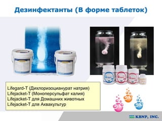 Дезинфектанты (В форме таблеток) 
Lifegard-T (Дихлоризоцианурат натрия) 
Lifejacket-T (Моноперсульфат калия) 
Lifejacket-T для Домашних животных 
Lifejacket-T для Аквакультур 
 