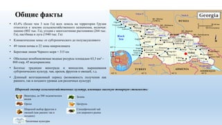 Общие факты
Виноград, до 500 эндемических
видов
Орехи
Широкий выбор фруктов и
овощей (как ранних так и
поздних)
Тепличные ...