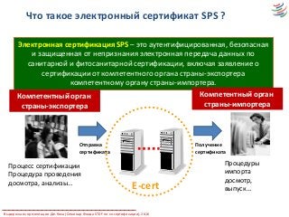 Что такое электронный сертификат SPS ?
Электронная сертификация SPS – это аутентифицированная, безопасная
и защищенная от непризнания электронная передача данных по
санитарной и фитосанитарной сертификации, включая заявление о
сертификации от компетентного органа страны-экспортера
компетентному органу страны-импортера.
E-cert
Компетентный орган
страны-экспортера
Компетентный орган
страны-импортера
Процесс сертификации
Процедура проведения
досмотра, анализы…
Процедуры
импорта
досмотр,
выпуск…
Отправка
сертификата
Получение
сертификата
Выдержка из презентации Дж.Коха (Семинар Фонда STDF по эл.сертификации), 2016
 