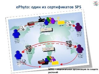 ePhyto: один из сертификатов SPS
NPPO – национальная организация по защите
растений
 