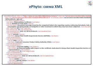 ePhyto: схема XML
 