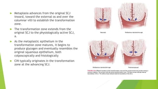 rushali ppt (2).pptx