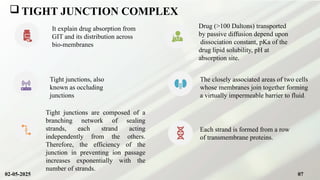  TIGHT JUNCTION COMPLEX
It explain drug absorption from
GIT and its distribution across
bio-membranes
Drug (>100 Daltons) transported
by passive diffusion depend upon
dissociation constant, pKa of the
drug lipid solubility, pH at
absorption site.
Tight junctions, also
known as occluding
junctions
The closely associated areas of two cells
whose membranes join together forming
a virtually impermeable barrier to fluid.
Tight junctions are composed of a
branching network of sealing
strands, each strand acting
independently from the others.
Therefore, the efficiency of the
junction in preventing ion passage
increases exponentially with the
number of strands.
Each strand is formed from a row
of transmembrane proteins.
02-05-2025 07
 