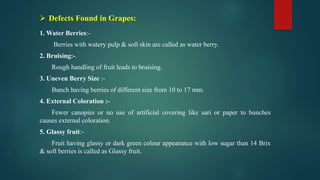 agri PPT 1.pptx