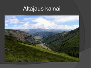Altajaus kalnai
 