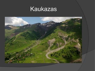 Kaukazas
 