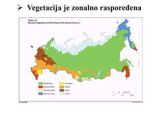  Vegetacija je zonalno raspoređena
 
