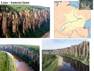 Lena – kamena šuma
 