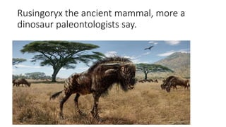 Rusingoryx the ancient mammal, more a
dinosaur paleontologists say.
 