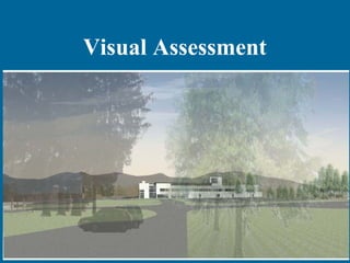 Visual Assessment

 