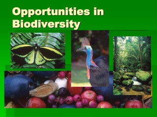 Opportunities in
Biodiversity
 