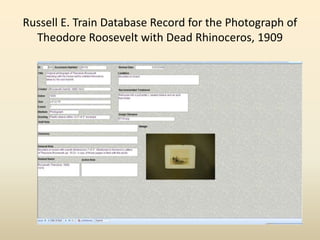 Russell E. Train Database Record for the Photograph of
Theodore Roosevelt with Dead Rhinoceros, 1909
 