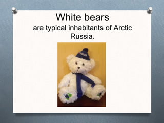 White bears
are typical inhabitants of Arctic
Russia.
 