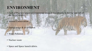 ENVIRONMENT
• Each of Russia's largest environmental issues is tied directly to the rise and fall of
the Soviet empire
• Animal Conservation
• Energy usage & air pollution
• Water Pollution
• Nuclear waste
• Space and Space launch debris.
 