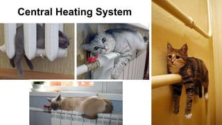 22
Infrastructure
Public transport, parking, playgrounds, schools, cinemas, shops, grocery
stores, farmers markets, gyms – within walking distance
 