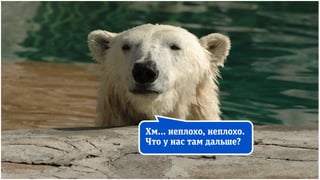 Хм… неплохо, неплохо.
Что у нас там дальше?
 