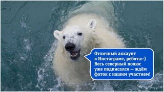 Отличный аккаунт
в Инстаграме, ребята:-)
Весь северный полюс
уже подписался — ждём
фоток с нашим участием!
 