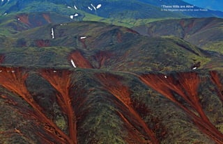 “These Hills are Alive”
In the Magadan region of far east Russia.
 