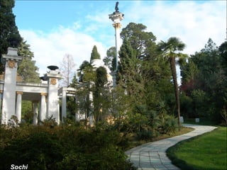 Sochi 