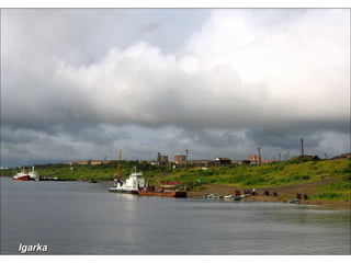 Igarka 