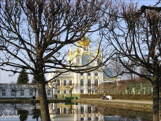 Peterhof 