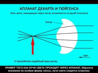 ПРИМЕР ТОГО КАК ЛУЧИ СВЕТА ПРОХОДЯТ ЧЕРЕЗ АПЛАНАТ. Обратите
внимание на особую форму линзы, лучи света сходятся (стрелка).
 