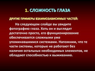 1. СЛОЖНОСТЬ ГЛАЗА
ДРУГИЕ ПРИМЕРЫ ВЗАИМОЗАВИСИМЫХ ЧАСТЕЙ:
На следующем слайде вы увидите
фотографию глаза. Хоть он и выглядит
достаточно просто, его функционирование
обеспечивается сложными уже
упоминавшимися системами. Напомним, что те
части системы, которые не работают без
наличия остальных необходимых элементов, не
обладают способностью к выживанию.
 