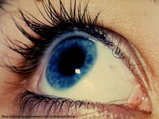 Фото любезно предоставлено Corel Professional Library
 