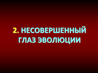 2. НЕСОВЕРШЕННЫЙ
ГЛАЗ ЭВОЛЮЦИИ
 
