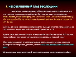 2. НЕСОВЕРШЕННЫЙ ГЛАЗ ЭВОЛЮЦИИИ
Некоторые эволюционисты в Швеции попытались предположить,
что глаз мог развиться очень быстро. Вот ссылка на их исследование:
Dan-E Nilsson, Susanne Pelger (Lund University) 1994. A Pessimistic Estimate of
the time required for an eye to evolve. Proceedings Royal Society of London, B
256:53-58.
Авторы данного исследования приходят к выводу, что глаз мог развиться за
1829 шагов с теоретической поправкой примерно в 1%.
Кроме того, они предполагают, что понадобилось бы около 364 000 лет для
того, чтобы из светочувствительного пятна развился простой глаз.
Они подытоживают, что геологического времени достаточно с момента
Кембрийского периода для того, чтобы «глаз мог развиться более чем 1500
раз».
Основные шаги предложенной модели показаны на следующем слайде.
 