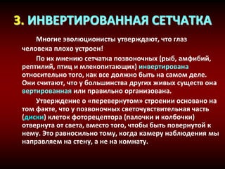 3. ИНВЕРТИРОВАННАЯ СЕТЧАТКА
Многие эволюционисты утверждают, что глаз
человека плохо устроен!
По их мнению сетчатка позвоночных (рыб, амфибий,
рептилий, птиц и млекопитающих) инвертирована
относительно того, как все должно быть на самом деле.
Они считают, что у большинства других живых существ она
вертированная или правильно организована.
Утверждение о «перевернутом» строении основано на
том факте, что у позвоночных светочувствительная часть
(диски) клеток фоторецептора (палочки и колбочки)
отвернута от света, вместо того, чтобы быть повернутой к
нему. Это равносильно тому, когда камеру наблюдения мы
направляем на стену, а не на комнату.
 