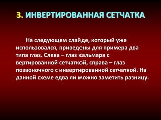 3. ИНВЕРТИРОВАННАЯ СЕТЧАТКА
На следующем слайде, который уже
использовался, приведены для примера два
типа глаз. Слева – глаз кальмара с
вертированной сетчаткой, справа – глаз
позвоночного с инвертированной сетчаткой. На
данной схеме едва ли можно заметить разницу.
 