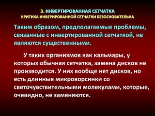 3. ИНВЕРТИРОВАННАЯ СЕТЧАТКА
КРИТИКА ИНВЕРИРОВАННОЙ СЕТЧАТКИ БЕЗОСНОВАТЕЛЬНА
Таким образом, предполагаемые проблемы,
связанные с инвертированной сетчаткой, не
являются существенными.
У таких организмов как кальмары, у
которых обычная сетчатка, замена дисков не
производится. У них вообще нет дисков, но
есть длинные микроворсинки со
светочувствительными молекулами, которые,
очевидно, не заменяются.
 