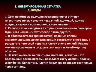 3. ИНВЕРТИРОВАННАЯ СЕТЧАТКА
ВЫВОДЫ
1. Хотя некоторые ведущие эволюционисты считают
инвертированную сетчатку неудачной задумкой, другие
придерживаются противоположного мнения.
2. Слепое пятно находится в стороне и невелико по размерам.
Один глаз компенсирует слепое пятно другого.
3. В области острого зрения (ямка) нервные клетки
значительно меньше по размерам и расходятся в стороны, в
результате чего слой нервных клеток очень тонкий. Редкие
мелкие кровеносные сосуды в сетчатке также обходят эту
область.
4. За исключением пигментного эпителия, сетчатка – это
прозрачный орган, который позволяет свету достичь палочек
и колбочек. Более того, клетки Мюллера проводят свет прямо
через сетчатку.
 