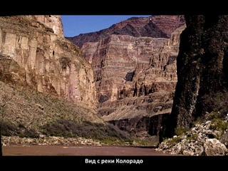Вид с реки Колорадо
 